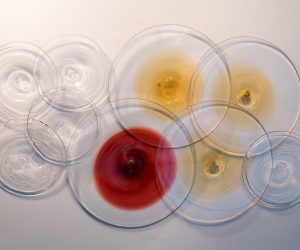 материлы. рюмочная плитка